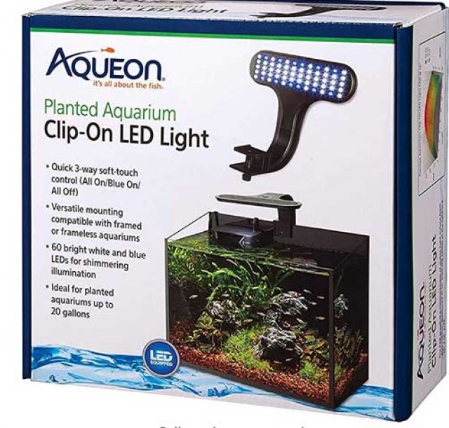 plant led